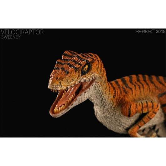 rebor raptor