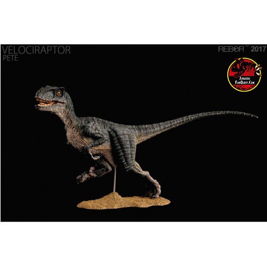 Velociraptor (Pete) Rebor