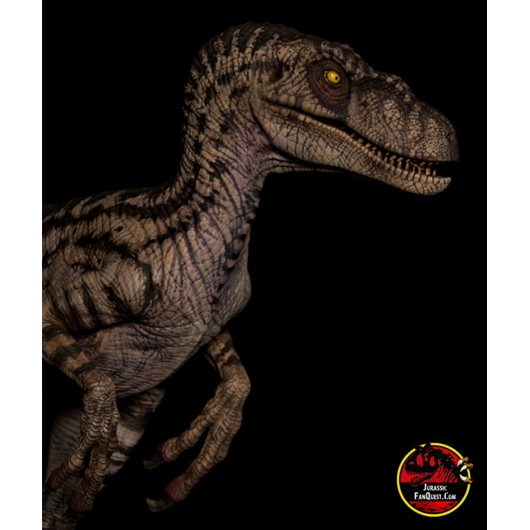 velociraptor female