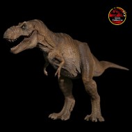 Bull Tyrannosaurus Rex Male W-Dragon Studio