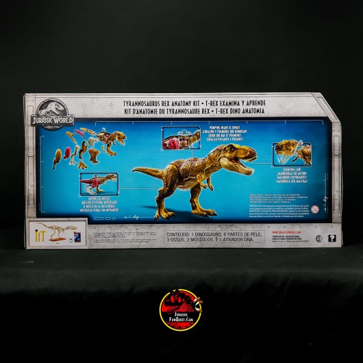 Kit Anatomie T-Rex Jurassic World – Figurine éducative STEM Mattel, 2018